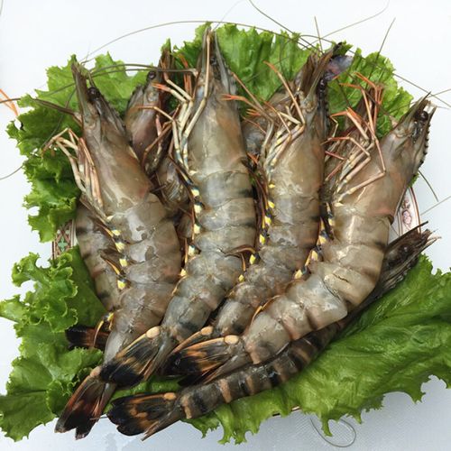 海虾黑虎虾超大对虾斑节虾新鲜草虾虎皮虾400g/600g 400g 14-16cm