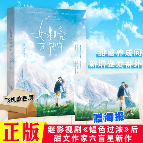 如果月亮不抱你 六盲星著 一瞬间喜欢你 晋江文学城青春言情畅销小说