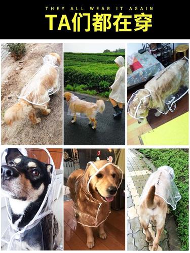 狗狗雨衣大型犬中型犬拉布拉多金c毛柴犬宠物雨天衣服