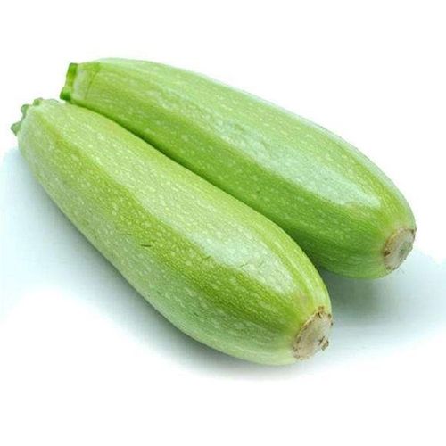 山东西葫芦绿番瓜当季自种新鲜蔬菜现摘生瓜三月小瓜番瓜倭茭瓜茄