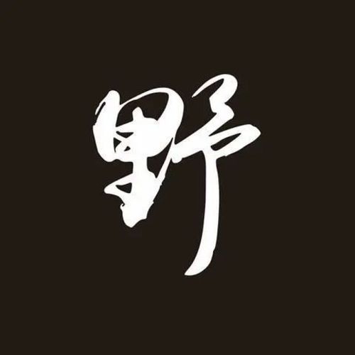 新年礼物 汽车贴纸野字个性潮流文字贴纸划痕遮盖贴车身后挡风玻璃