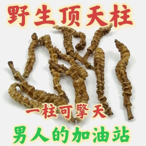 顶天柱 阳鞭劲:云南苗家腾冲特产野生中草药泡酒料顶天柱!