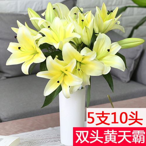 黄天霸百合花鲜花新鲜双头云南基地直发带花苞香水斗南黄色黄霸天