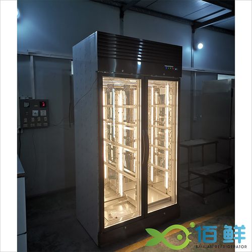 新款干式牛肉熟成柜排酸恒温柜高端e牛排熟成排酸柜