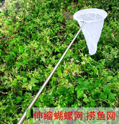 寻蝶园加长白网兜伸缩儿童捕虫网蝴蝶知了折叠小鱼捞网捞鱼网包邮