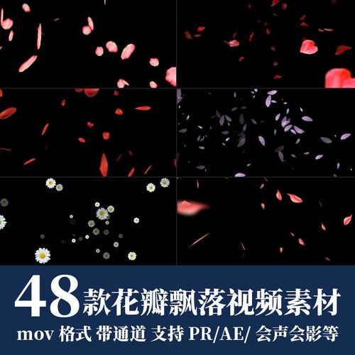 pr/ae视频素材花瓣飘落唯美花朵飞舞动态玫瑰花动画mov带透明通道