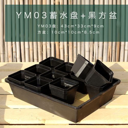 箱保温保湿箱育苗盒带盖育种恒温箱穴盘播种神器 ym03 黑10cm方盆12个