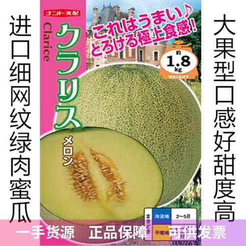 吉恩-日本进口特色细网纹蜜瓜种子绿肉网纹瓜种子 库拉网纹瓜种子