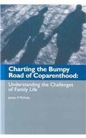 【预订】charting the bumpy road of
