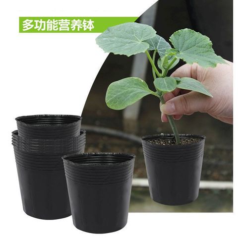 育苗盘营养袋育苗袋育苗杯加厚耐老化育种秧苗杯营养盘苗木种植盆