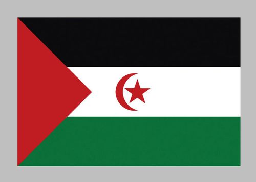 旗帜西撒哈拉国旗区旗桌旗手摇旗落地旗挂旗升降旗谈判旗台旗车旗