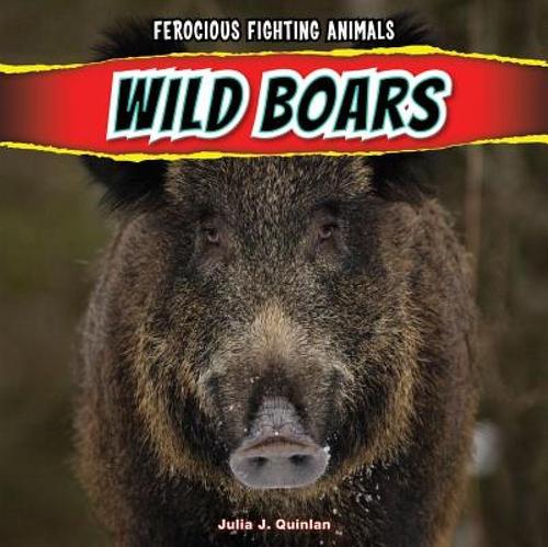 【预售】wild boars