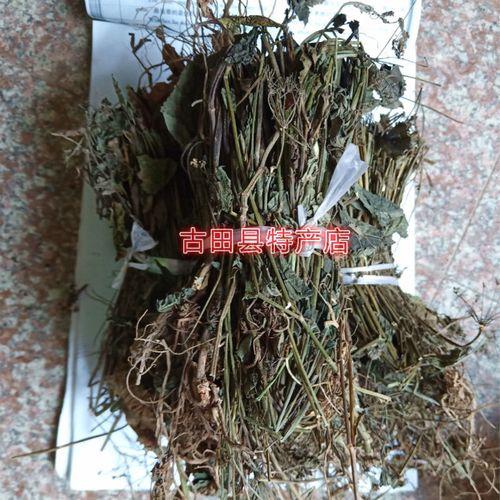 野生青草 金钥匙草药 八月白 异叶茴芹 金锁匙 干货 整株全草带根 500