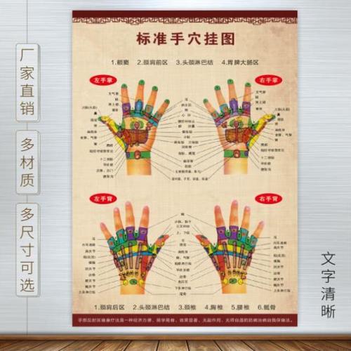 手部反射区健康疗法海报手掌手背的穴位图手部经络诊断示意图制作