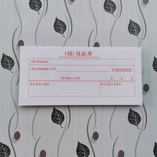 财务办公 48k 领款单 借款单 取款单 领款凭证 南宁文具 天章同款
