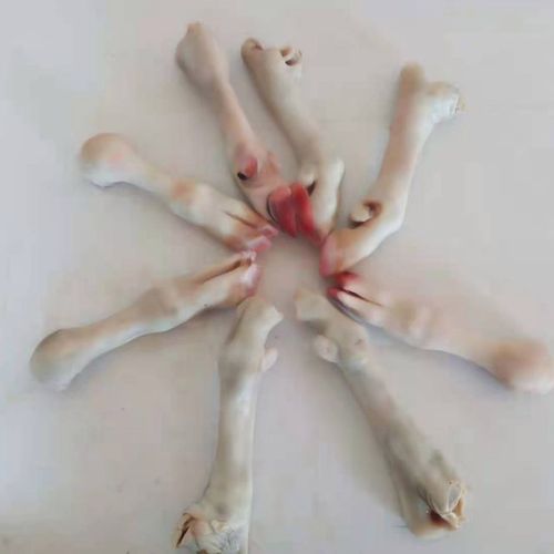 新鲜羊蹄现杀羊脚羊肉山羊蹄带筋羊蹄子散养批发清真坏了包赔【15天内