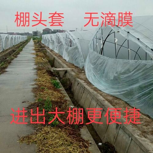 大棚棚头套拉绳防老化棚口套棚头膜无滴膜大棚门套大棚量大批发