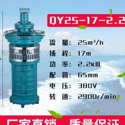 qy油浸泵三相鱼塘抽水潜水泵380v农用工业灌溉大流量喷灌喷泉6寸o