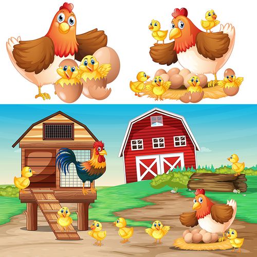 母鸡孵小鸡ai矢量素材 可爱卡通母鸡下蛋 牧场插画背景  设计素材