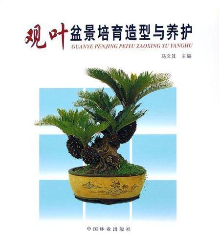 马文其 盆景制作教材盆景造型艺术盆景修剪书盆景养护造景种植栽培