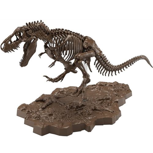 imaginary skeleton 恐龙化石 拼装模型玩具 35cm is 霸王龙