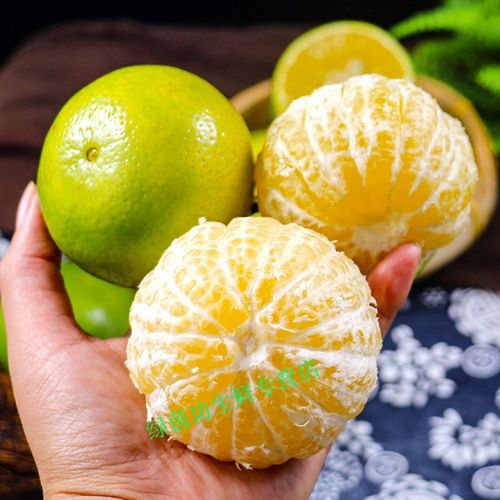 【香甜爆汁】广西武鸣皇帝柑贵妃柑新鲜橘子沃柑应季水果薄皮桔子