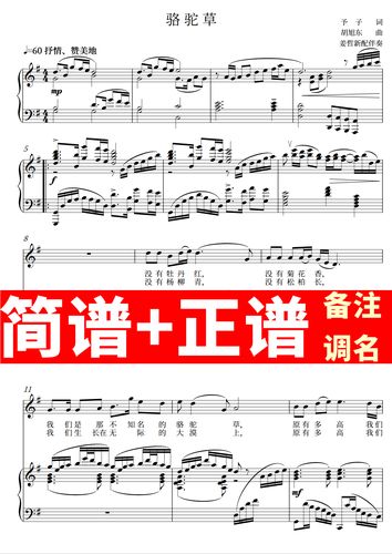 骆驼草 正谱钢琴伴奏音频带主旋律简谱可移调cdefgab