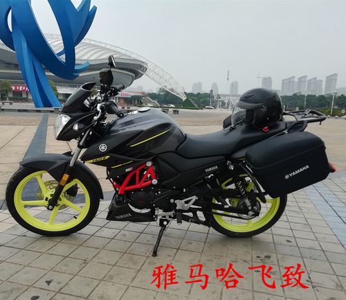 隆之冠  雅马哈飞致150摩托车边箱  天隼125侧挂箱