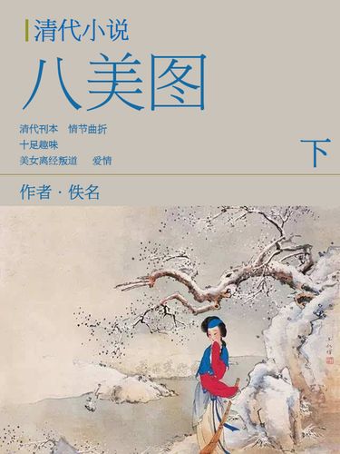 清代小说:八美图(下)