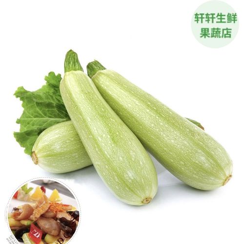 西葫芦山东新鲜番瓜当季蔬菜农家自种三月瓜角瓜茭白瓜现摘现发