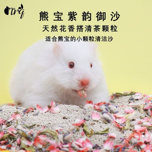 金丝熊浴沙尿沙洗澡仓鼠用品浴室龙猫熊仔专用粗砂除臭洗浴清洁