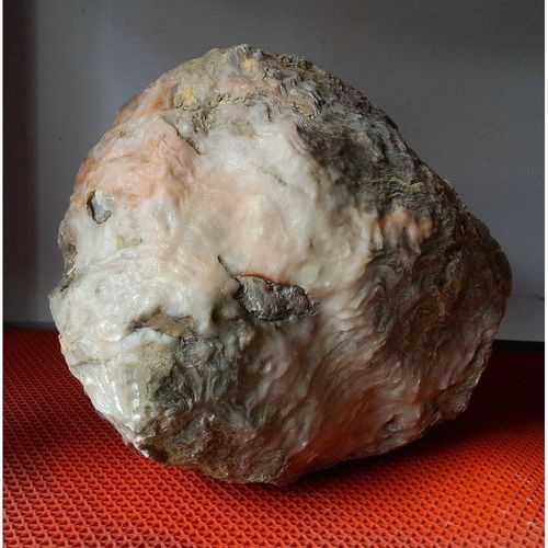 宁强珊瑚玉石化石刺猬天然奇石景观赏石原石象形石收藏级镇宅眼睛