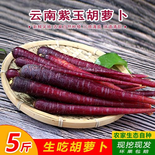 云南农家紫玉萝卜现挖紫皮脆甜生吃水果紫胡萝卜即食5斤现发蔬菜
