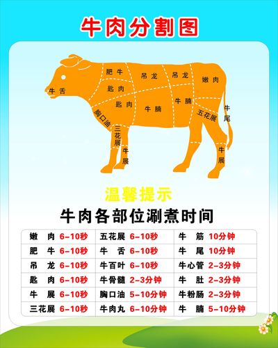 m768市场超市牛肉分割图切割图部位图各部涮煮时间表319海报印制