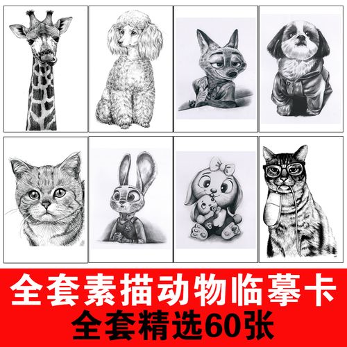 少儿创意美术素描几何石膏静物动物临摹卡片范画艺考