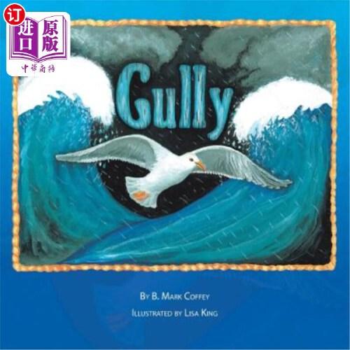 【中商海外直订】gully