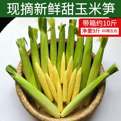 广西玉米笋新鲜带壳带须嫩玉米棒迷你小玉米芯5斤包邮甜水果玉米