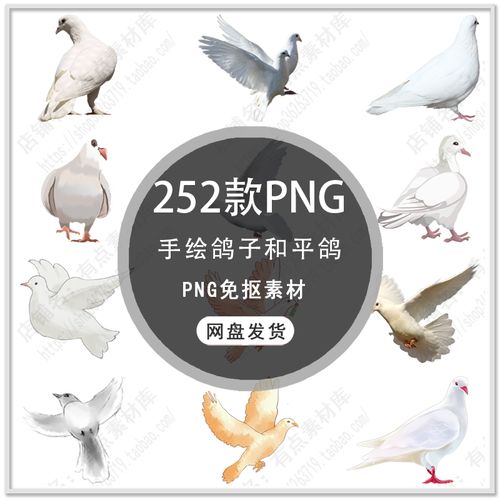 可爱卡通和平鸽信鸽白鸽动物手绘鸽子白鸽和平鸽插画png免扣素材