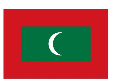 旗帜马尔代夫国旗区旗桌旗手摇旗落地旗挂旗升降旗谈判旗台旗车旗