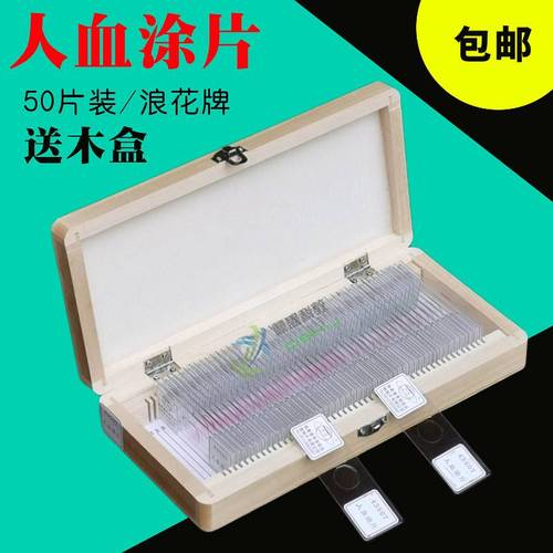 人血涂片 人血永久涂片 一盒50片43507生物教学实验器材装片 切片