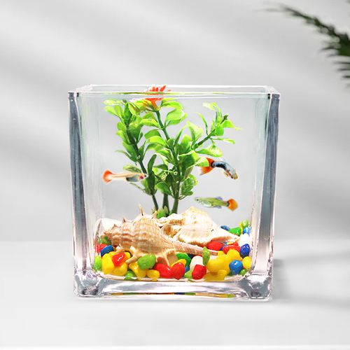 桌面小鱼缸 创意生态迷你鱼缸方形 可种绿植绿萝铜钱草 斗鱼缸