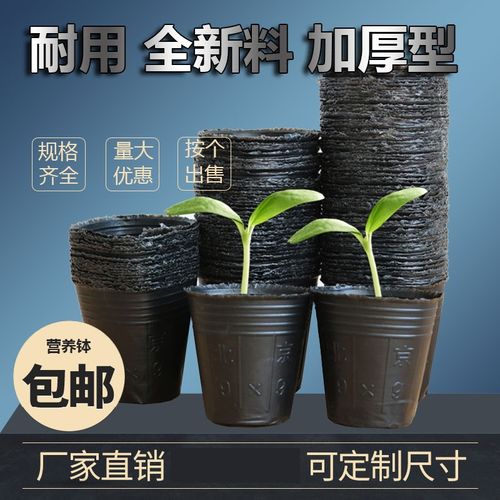 绿化育种种花苗花盆育卉盘育苗杯塑料营养杯有底幼苗育苗盒家用