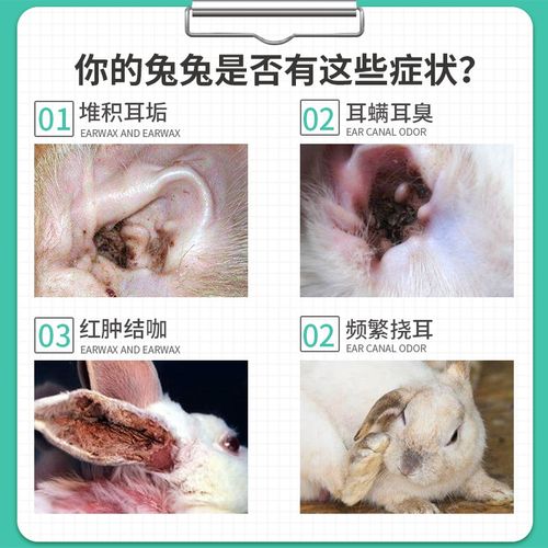 兔去满兔子洗耳液兔滴耳液f兔用清洁兔耳朵耳道除耳螨兔满净
