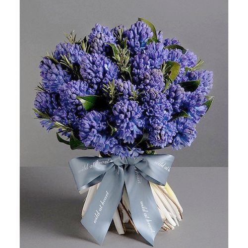 风信子花束荷兰进口鲜花速递深圳上海广州同城配送生日送小众花材