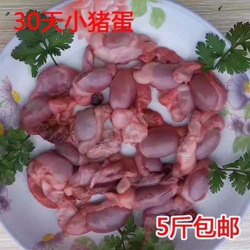 30天小猪蛋新鲜小猪睾丸小猪宝小猪蛋小猪外腰