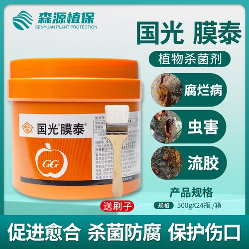 国光膜泰伤口涂抹剂大树果树盆景伤口愈合剂流胶病腐烂病愈伤封口