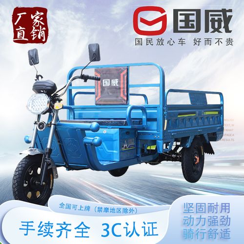 国威品牌电动三轮车家用摆摊货车成人农用家用爬坡拉货载货快递车