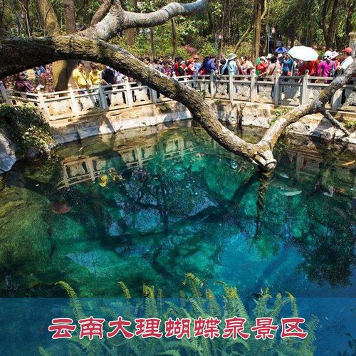 [蝴蝶泉-大门票]云南大理蝴蝶泉景区 大理.