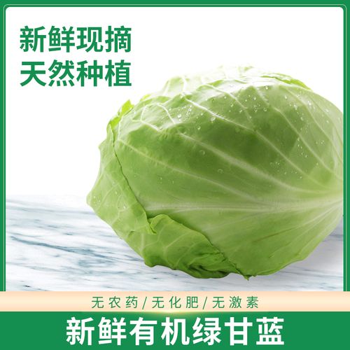 合家瑞 有机甘蓝绿甘蓝新鲜有机蔬菜包菜甘蓝