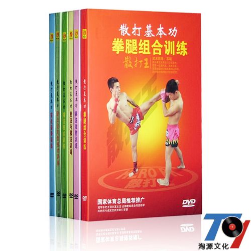 散打基本功全套6dvd 武术教学 实战训练视频光盘散打王